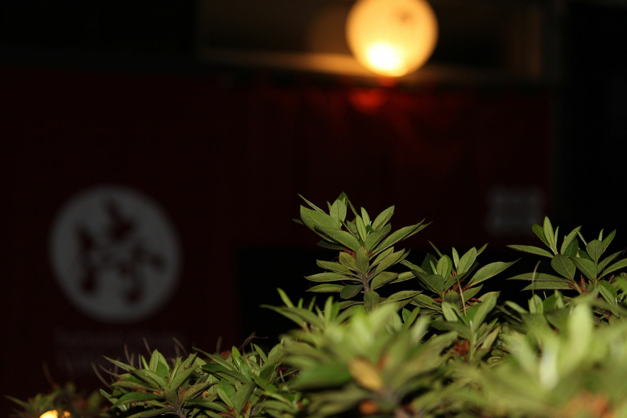Samurai House Yukimura Tokyo Bagian luar foto